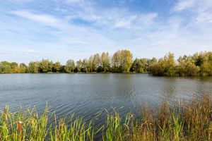 Photo 2- click for photo gallery